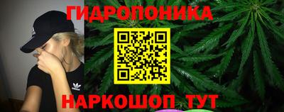 a pvp Пушкино