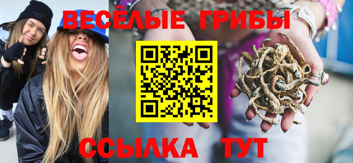 Самара  Галлюциногенные грибы мухоморы  Вход с VPN 